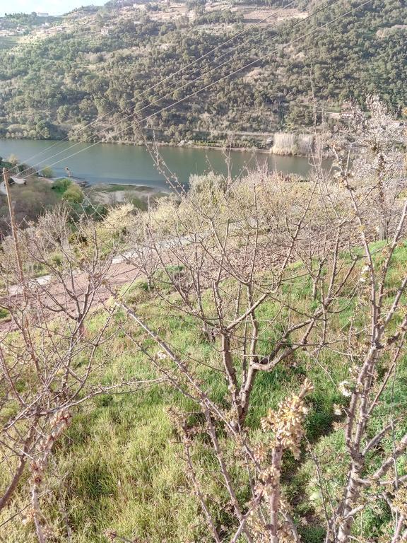 Douro Balcony Villa เรเซนด์ ภายนอก รูปภาพ
