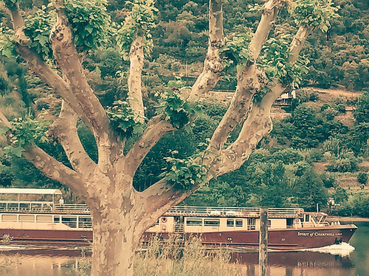 Douro Balcony Villa เรเซนด์ ภายนอก รูปภาพ