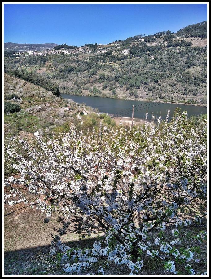 Douro Balcony Villa เรเซนด์ ภายนอก รูปภาพ